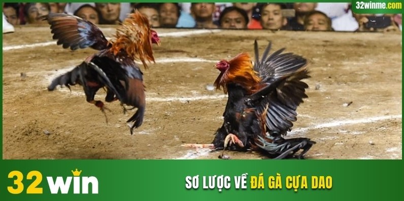 Sơ lược về đá gà cựa dao